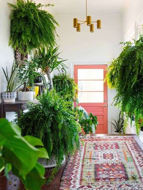 Read more about the article 6 Simple Tips For That Perfect Welcoming Home Entrance