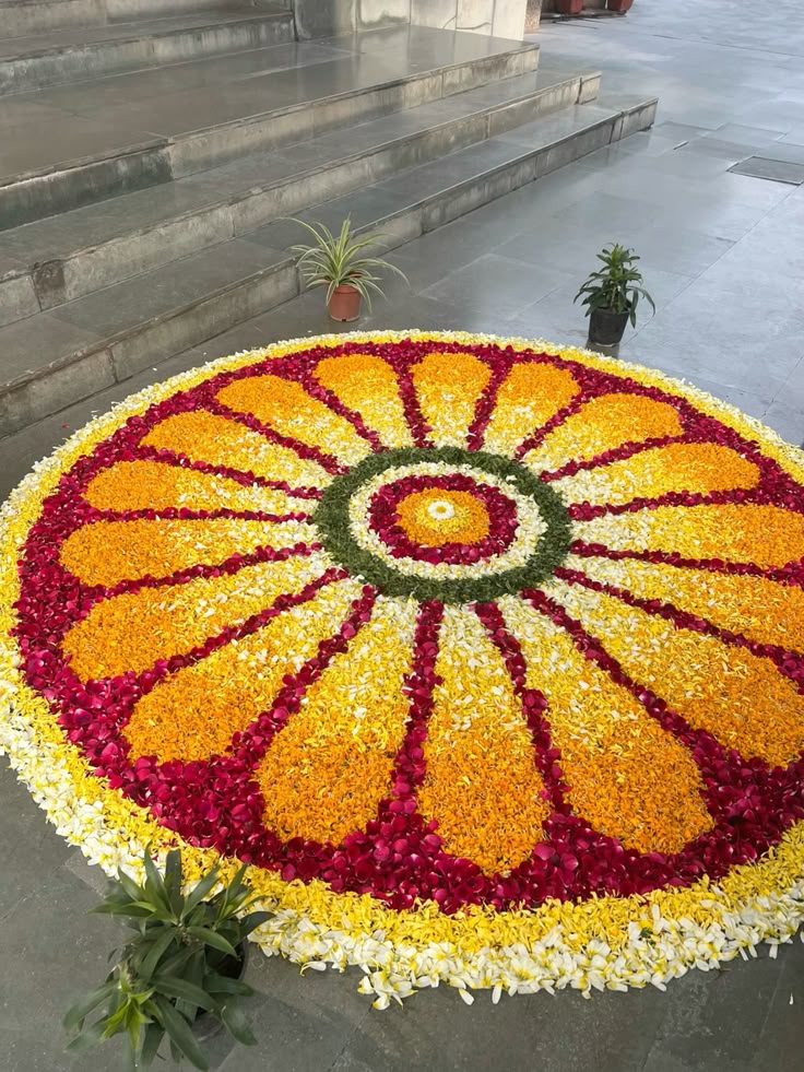 Colorful holi Rangoli Designs for home